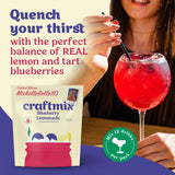 Bourbon Blueberry Lemonade Cocktail Mixer